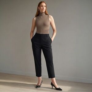 Everlane The Poplin Pleated Taper Pant in Black Size 6